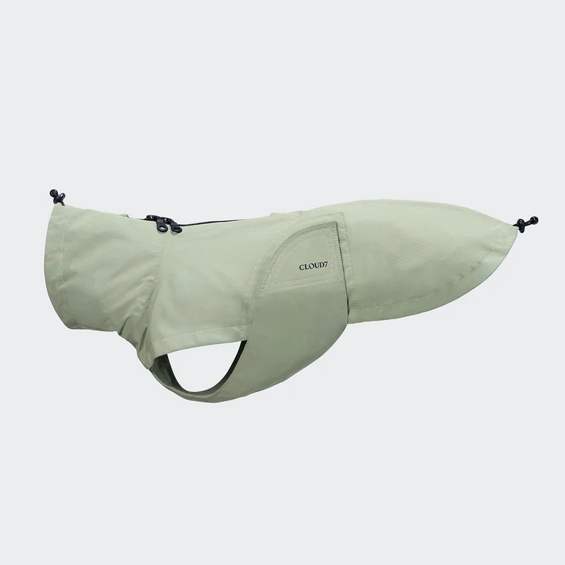 Hunderegenmantel Dackel Dublin 2.0 Dusty Mint