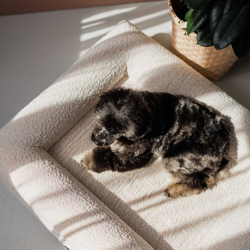 Hundebett Barklay Größe S mit Boucèbezug