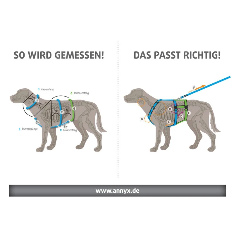 Hundegeschirr Fun Oliv-Oliv kurz / lang