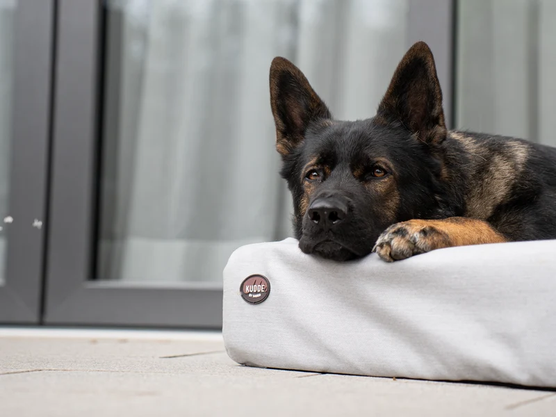 SABRO Hundebett KUDDE Outdoor