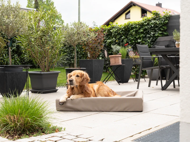 SABRO Hundebett KUDDE Outdoor
