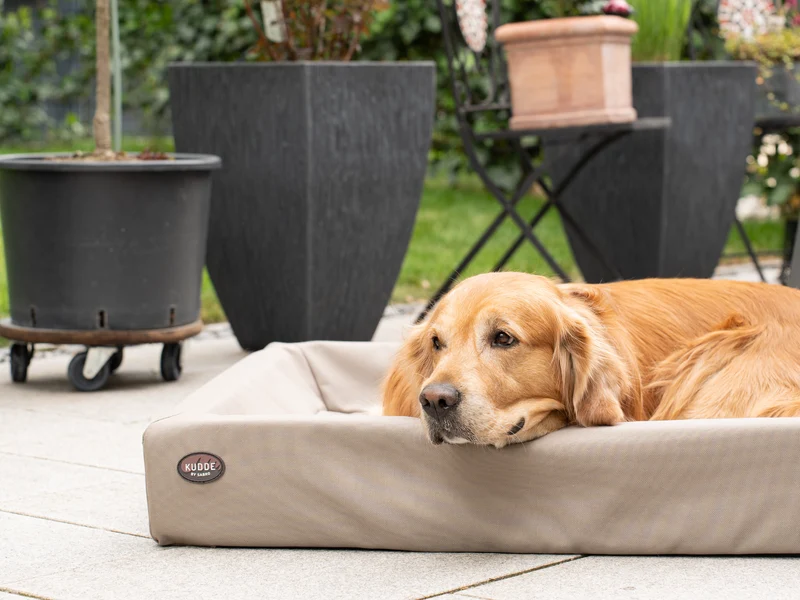 SABRO Hundebett KUDDE Outdoor