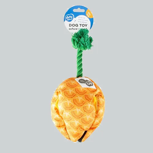 Schnüffelspielzeug Ananas