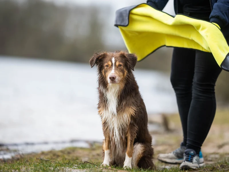 SABRO Handtuch BUDDY für Hunde