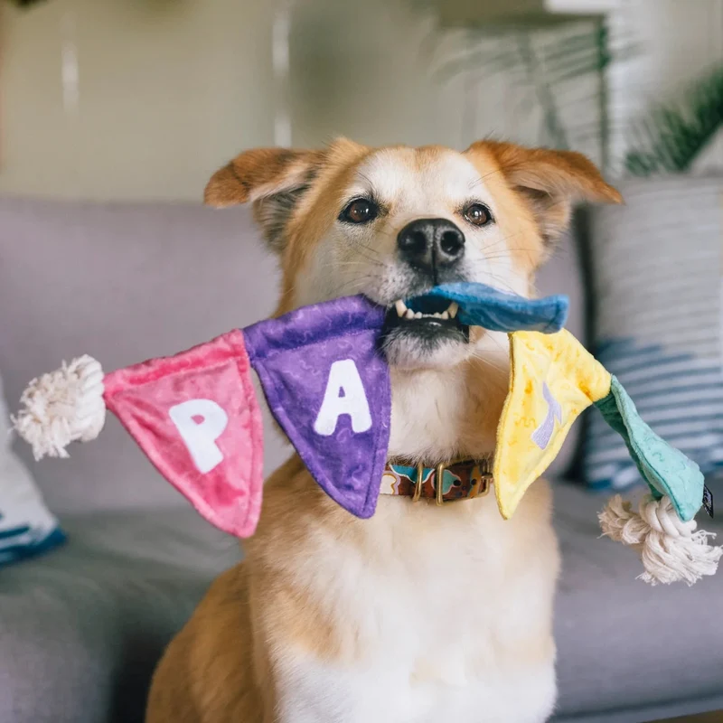 Hundespielzeug Wimpelkette PARTY