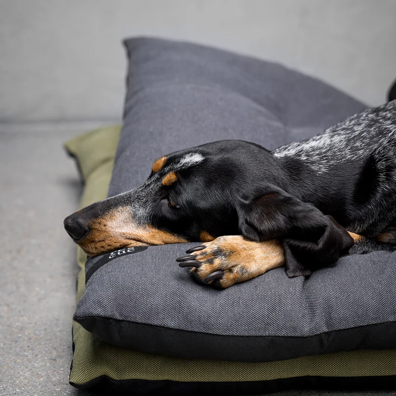 RESC7UE Hundekissen Anthra