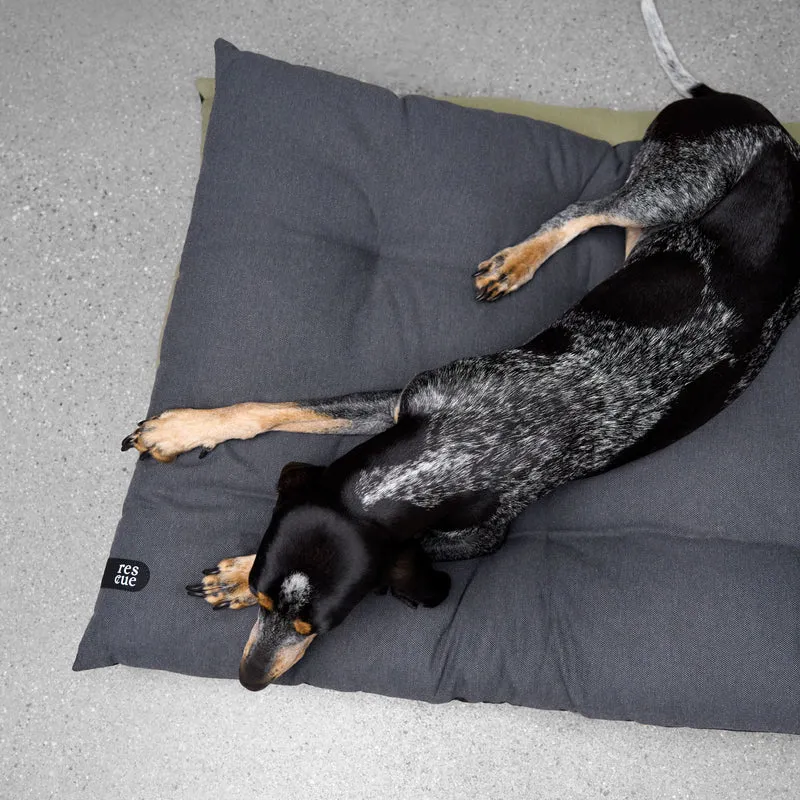 RESC7UE Hundekissen Anthra