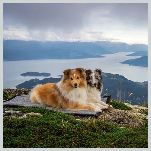 Hundedecke Hiking