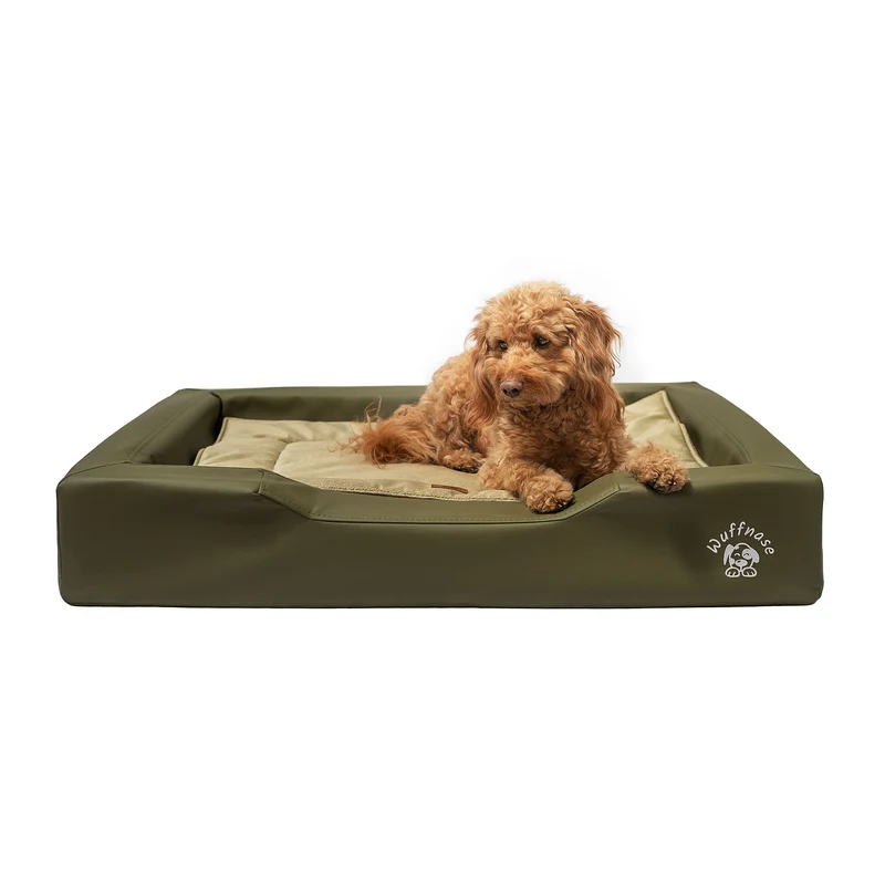 Pfotenruhe Hundebett + Anti-Haar Decke Ella – Grün/Grün
