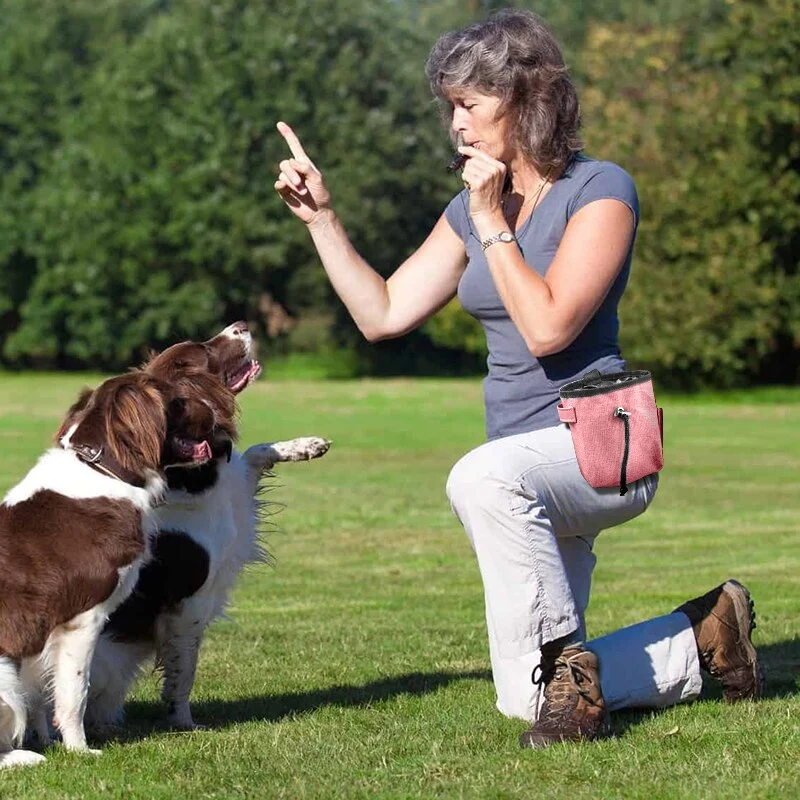 Dog Treat Pouch Portable Outdoor Feeding Pet Dog Training Bags