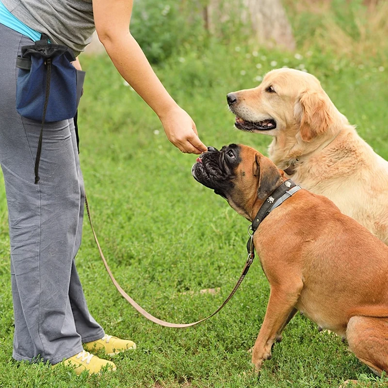 Dog Treat Pouch Portable Outdoor Feeding Pet Dog Training Bags