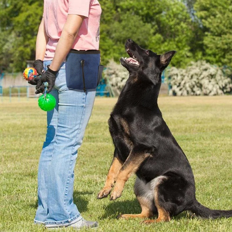Dog Treat Pouch Portable Outdoor Feeding Pet Dog Training Bags