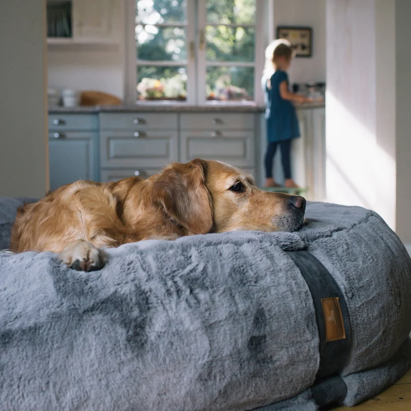 HYGGEBED® - Das orthopädische Hundebett