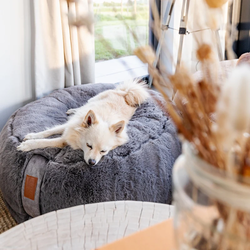 HYGGEBED® - Das orthopädische Hundebett