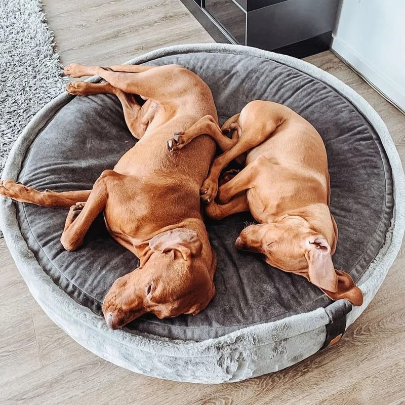 HYGGEBED® - Das orthopädische Hundebett