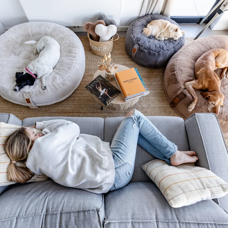 HYGGEBED® - Das orthopädische Hundebett