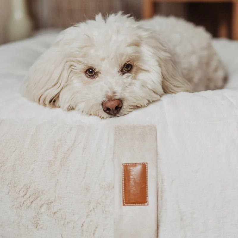 HYGGEBED® - Das orthopädische Hundebett