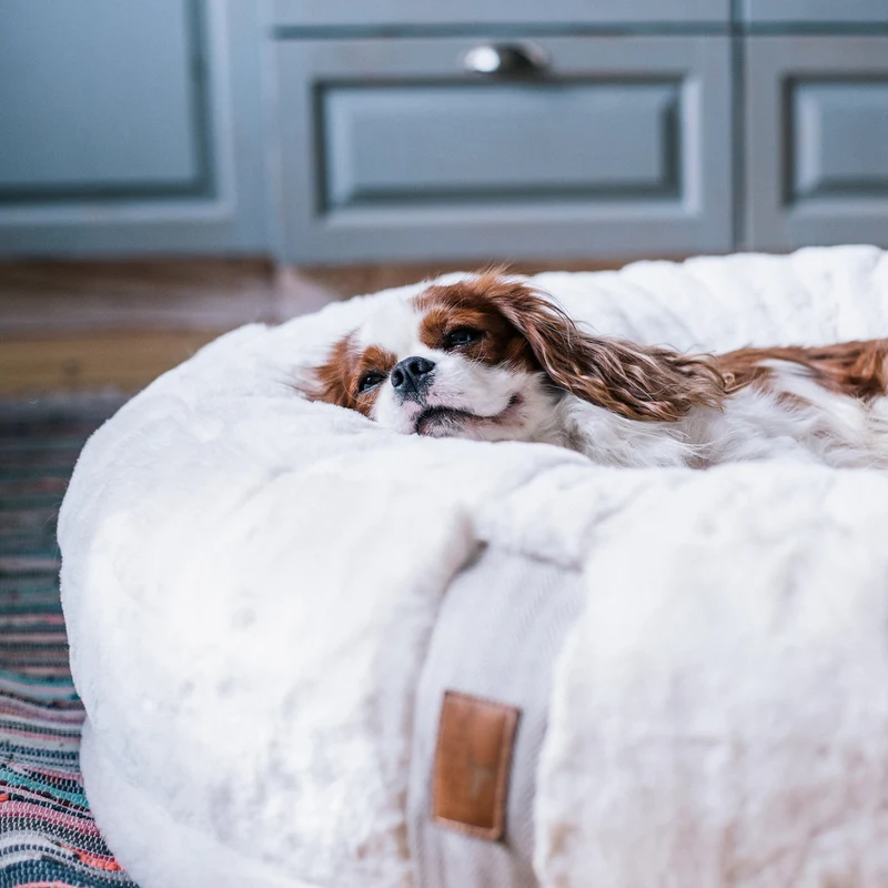 HYGGEBED® - Das orthopädische Hundebett