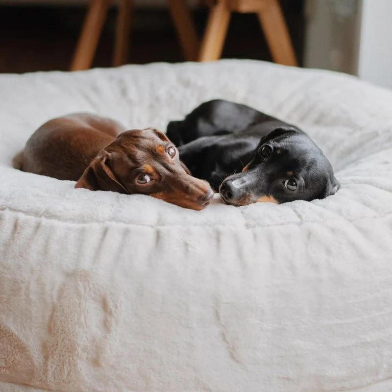 HYGGEBED® - Das orthopädische Hundebett