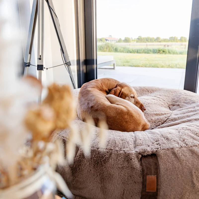 HYGGEBED® - Das orthopädische Hundebett