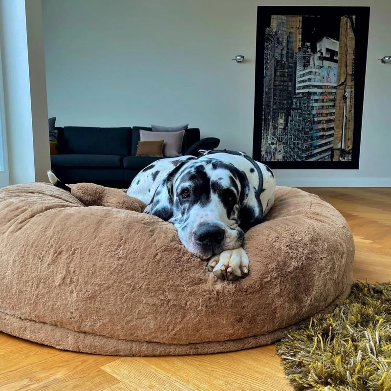 HYGGEBED® - Das orthopädische Hundebett