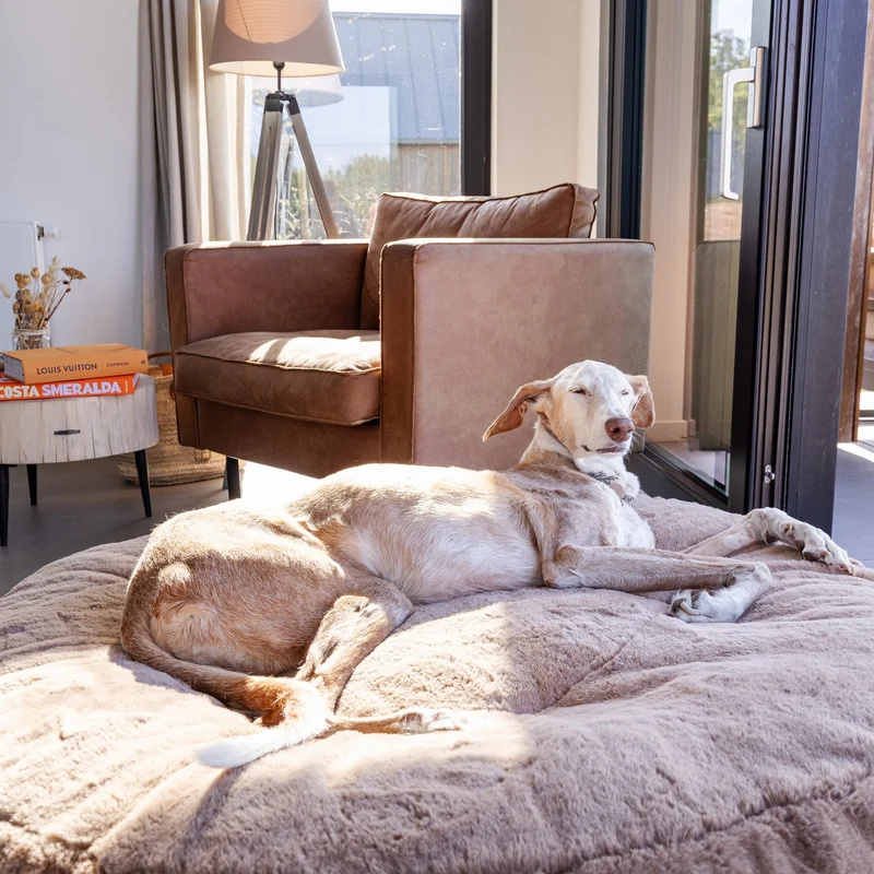HYGGEBED® - Das orthopädische Hundebett