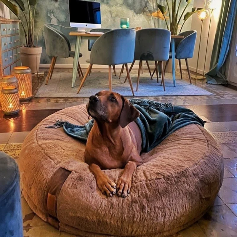 HYGGEBED® - Das orthopädische Hundebett