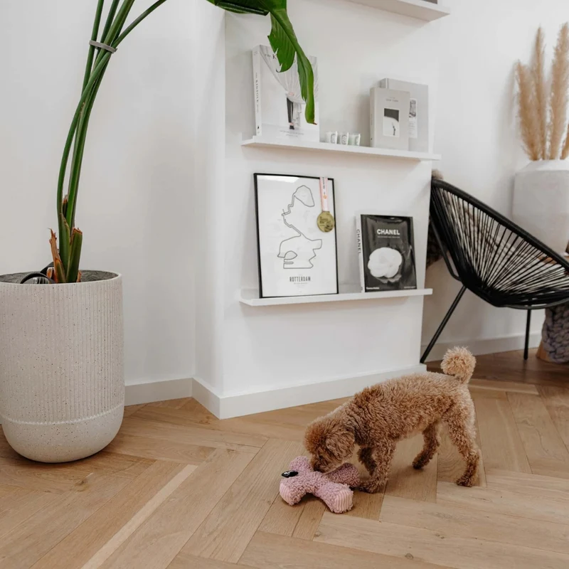 Hundespielzeug Ziggi