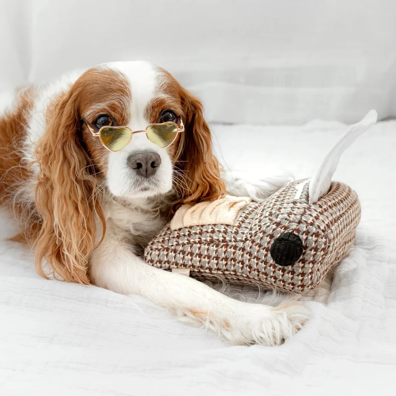 Hundespielzeug Schreibmaschine