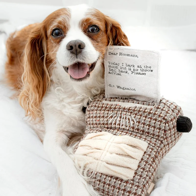 Hundespielzeug Schreibmaschine