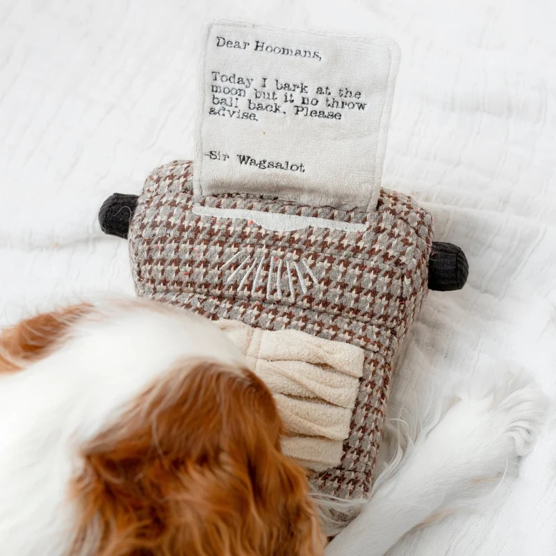 Hundespielzeug Schreibmaschine