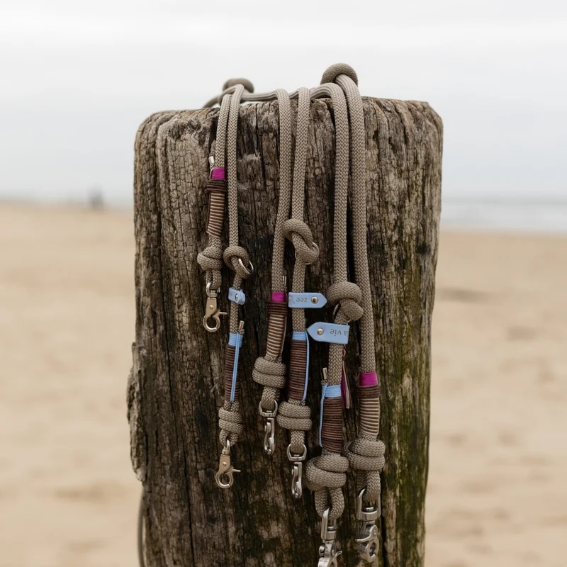 Tauleine Driftwood