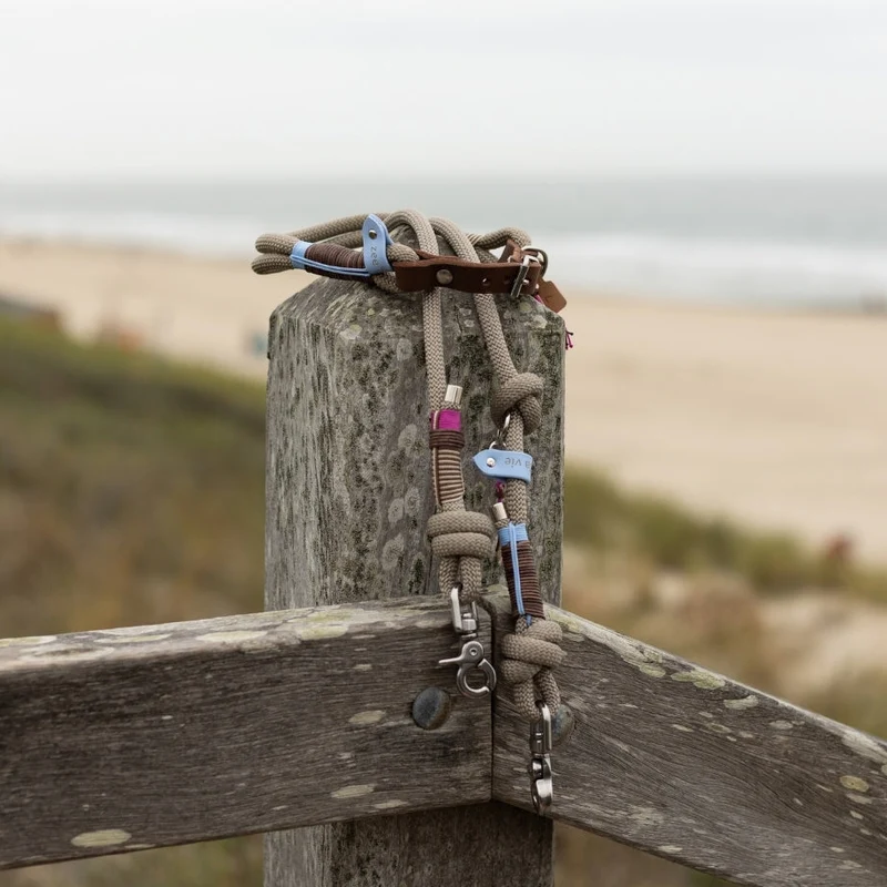Tauleine Driftwood