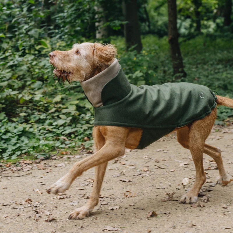 Hundemantel Brooklyn Flanell Fern Green Dackel