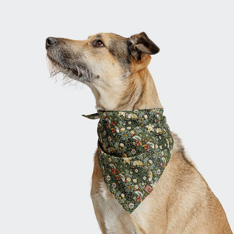 Hundehalstuch Bandana Strawberry Thief