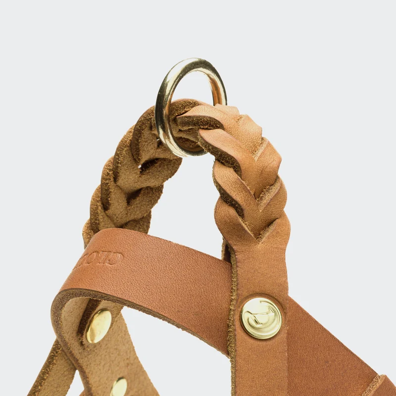 Norwegergeschirr Central Park Camel Gold