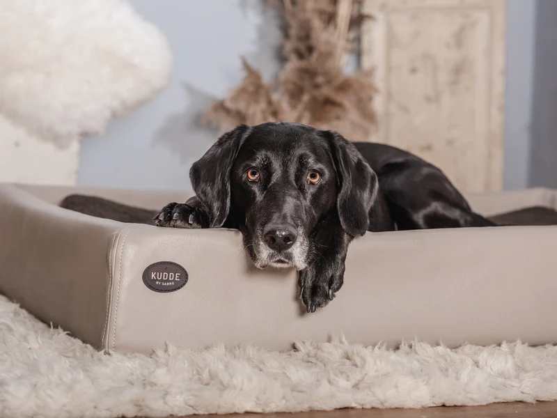 SABRO Hundebett KUDDE Kunstleder