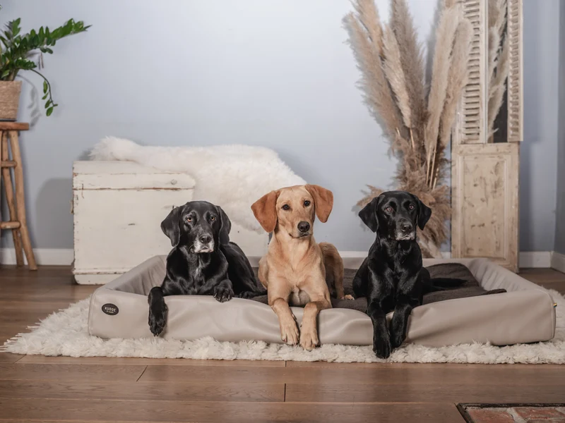 SABRO Hundebett KUDDE Kunstleder