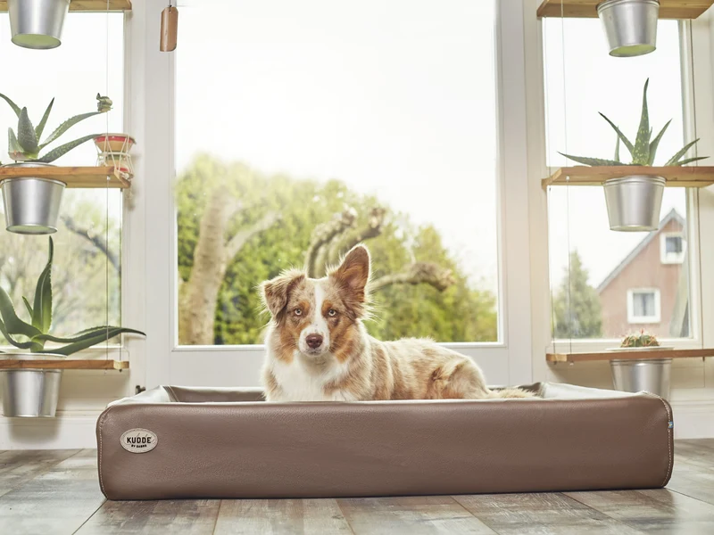 SABRO Hundebett KUDDE Kunstleder