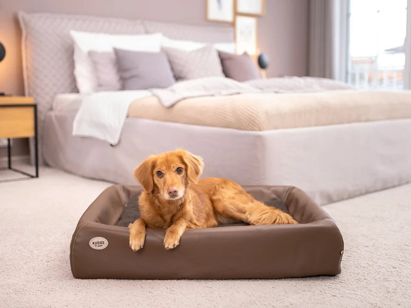 SABRO Hundebett KUDDE Kunstleder
