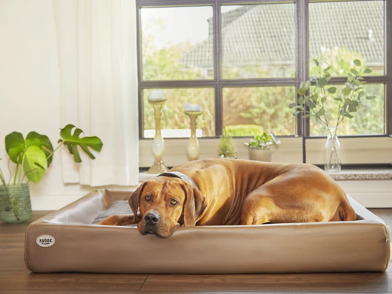 SABRO Hundebett KUDDE Kunstleder