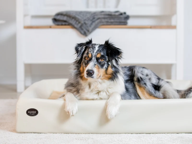 SABRO Hundebett KUDDE Kunstleder