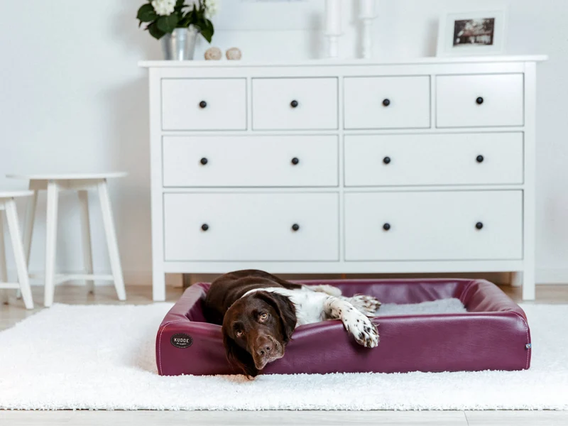 SABRO Hundebett KUDDE Kunstleder
