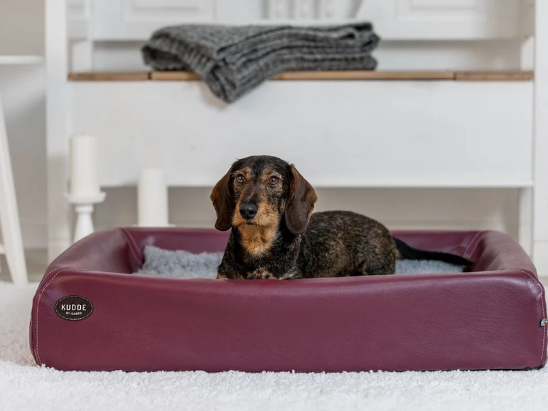 SABRO Hundebett KUDDE Kunstleder