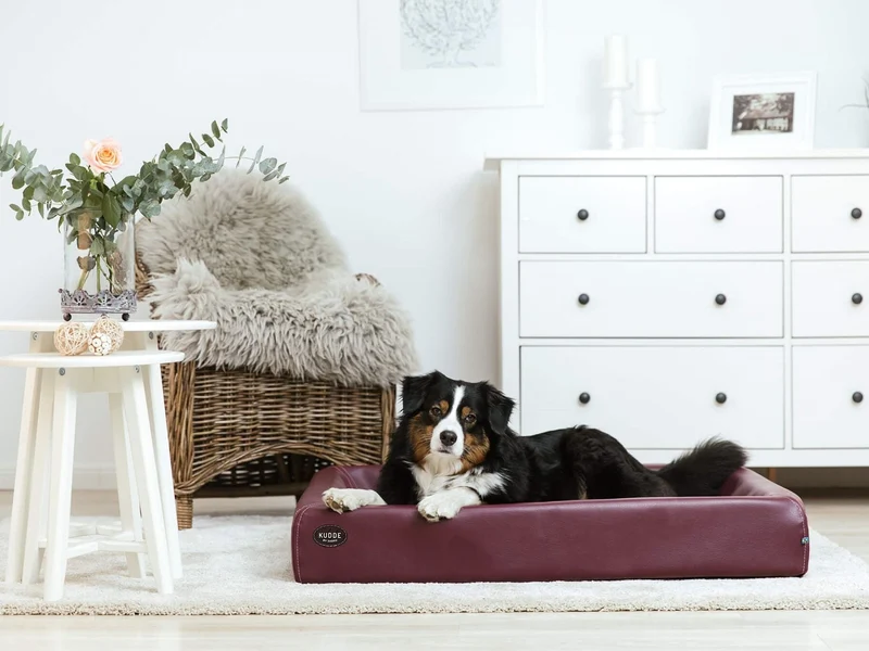 SABRO Hundebett KUDDE Kunstleder