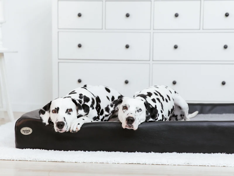 SABRO Hundebett KUDDE Kunstleder
