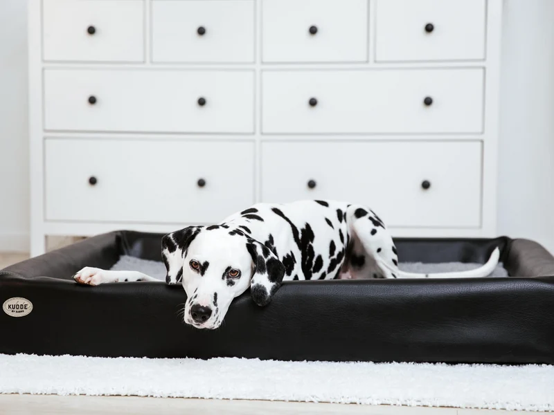 SABRO Hundebett KUDDE Kunstleder