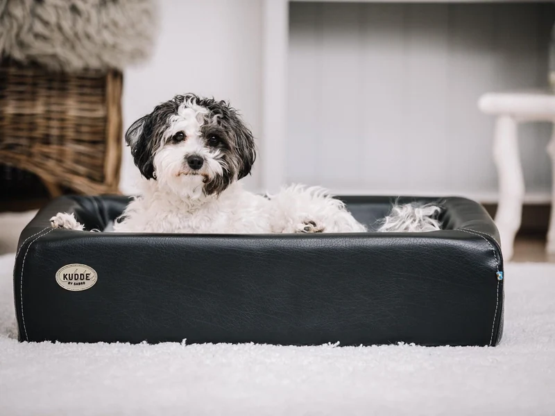 SABRO Hundebett KUDDE Kunstleder