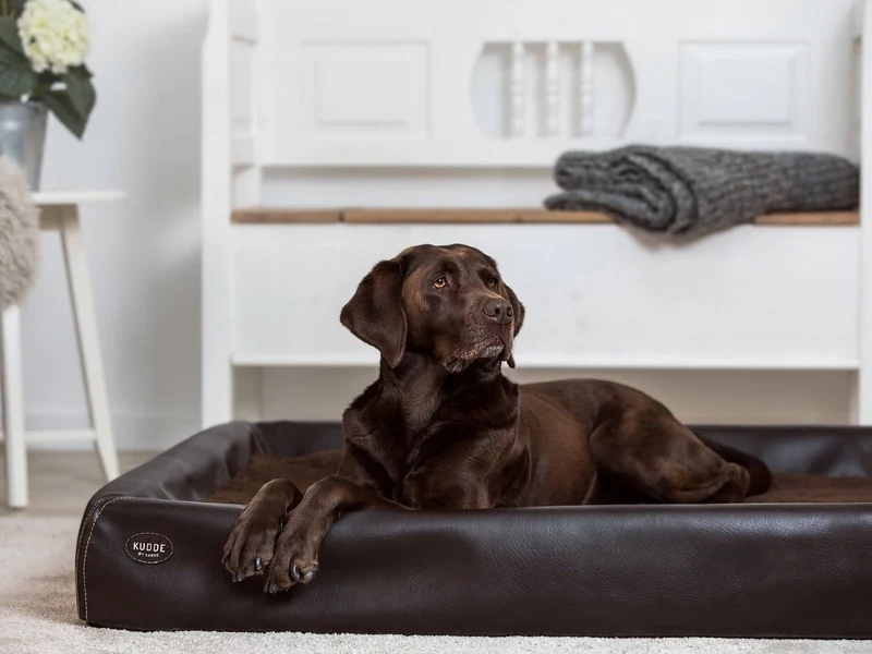 SABRO Hundebett KUDDE Kunstleder