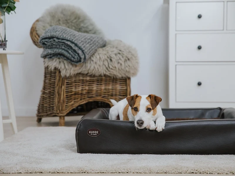 SABRO Hundebett KUDDE Kunstleder